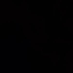 Meet your Posher, Reyden